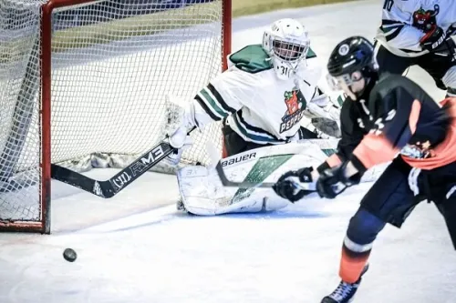 فعالیت ۲۰۰ بازیکن در لیگ هاکی روی یخ